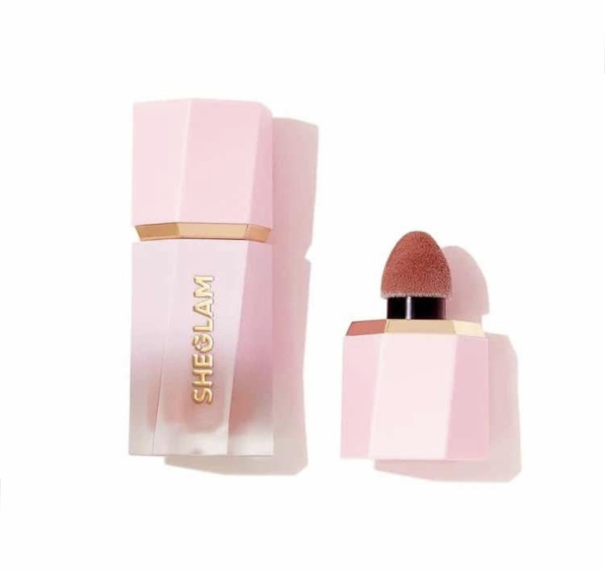 رژگونه شیگلم مات مدلRisky business