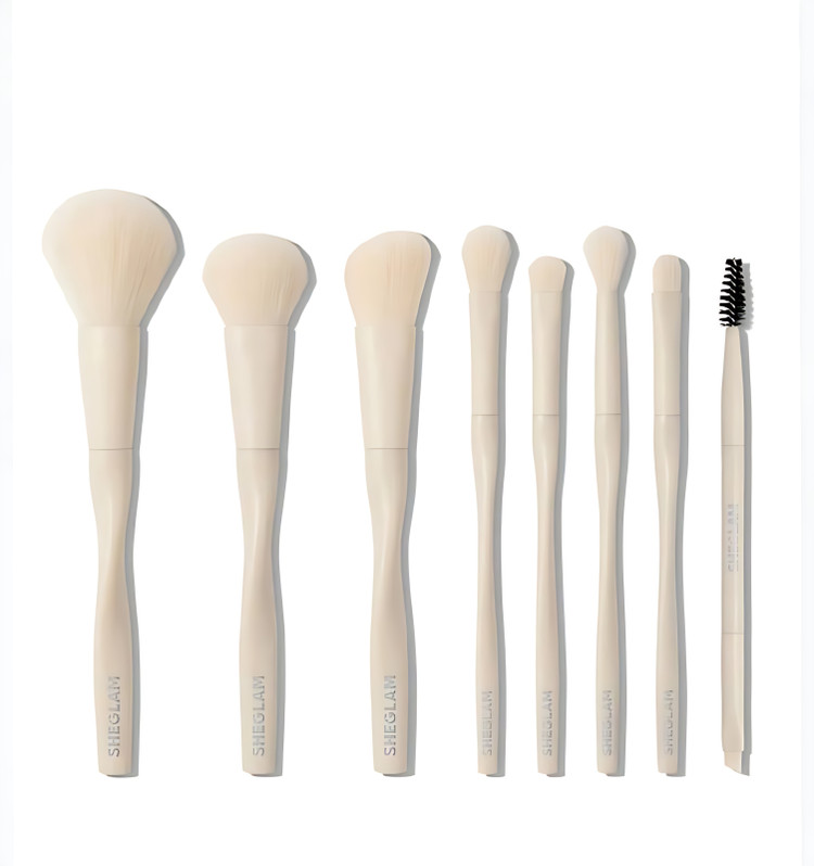 ست براش ۸تایی شیگلم